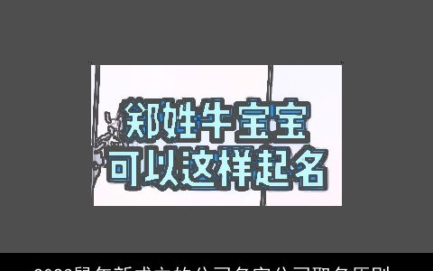 2024鼠年新成立的公司名字公司取名原则_