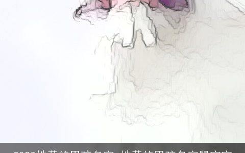 2024姓黄的男孩名字 姓黄的男孩名字鼠宝宝