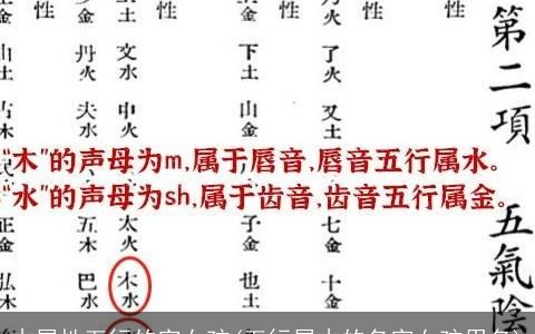 木属性五行的字女孩(五行属木的名字女孩用名)