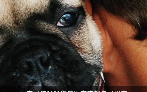 用字忌讳2023狗年男宝宝起名忌用字