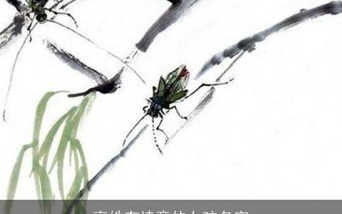 高姓有诗意的女孩名字