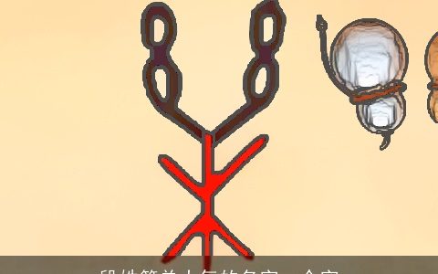 段姓简单大气的名字一个字