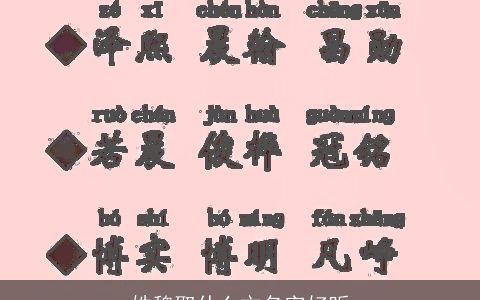 姓魏取什么文名字好听