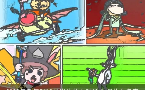 2023年兔年5月8日出生的女孩适合取什么名字