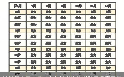2023年农历二月二十八日出生的男孩起名字查询
