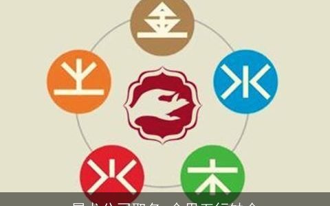 属龙公司取名 命里五行缺金