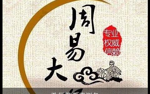 孔俪茗免费测名