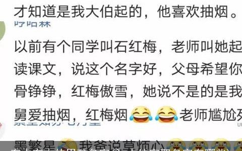 有水有木的男孩名字(氵水的字取名字有哪些)