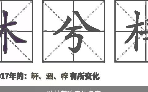 耿姓带瑜字的名字
