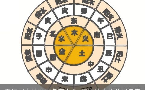 五行属木的公司名字大全 五行缺木的公司名字