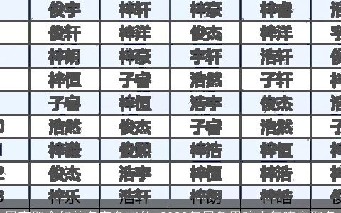 男宝取个好的名字免费的 2023年属兔男孩大气响亮取名