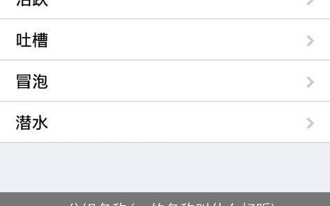 qq分组名称(qq的名称叫什么好听)