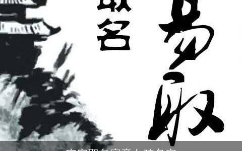 宁字取名寓意女孩名字
