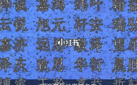 寓意星辰的男孩名字