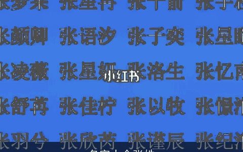 名字大全张姓