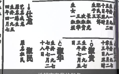 姓解宝字辈的起名