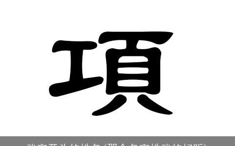 武字开头的姓名(那个名字姓武的好听)