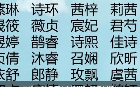 于姓男孩名字(孟姓男孩起名属猪)