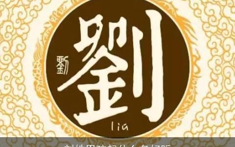 刘姓男孩起什么名好听