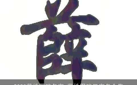 2023薛姓男孩名字 薛姓男孩三字名合集