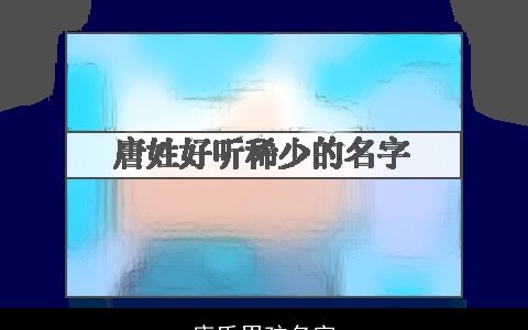 唐氏男孩名字