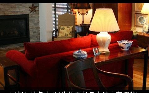 属相牛的名人(属牛的近代名人伟人有哪些)