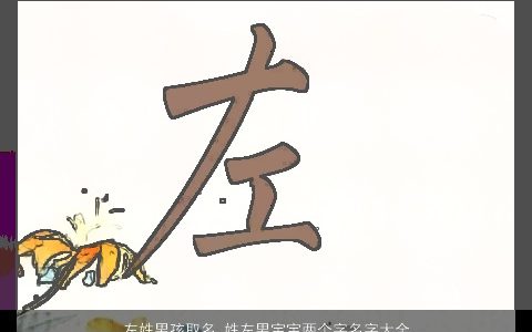 左姓男孩取名_姓左男宝宝两个字名字大全 2024好听吉利的左姓男孩男宝宝名字