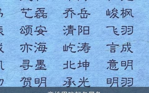 齐姓男孩起名属兔