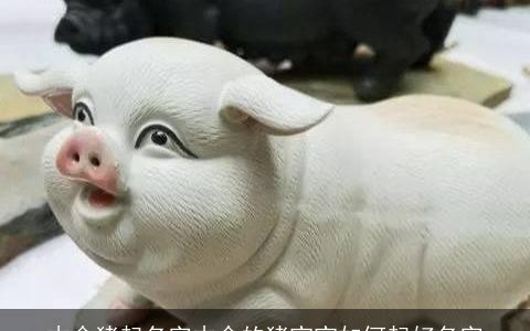 木命猪起名字木命的龙宝宝如何起好名字