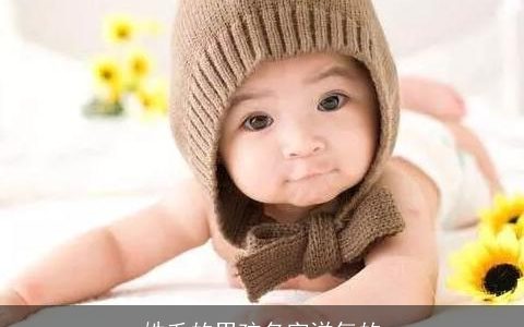 姓毛的男孩名字洋气的