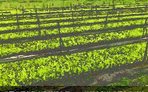 苗圃公司名称大全好听大气2024 好听大气的公司名字精挑