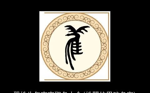 翟姓牛年宝宝取名大全(姓瞿的男孩名字)