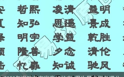 2024年男孩名字寓意好的字 男生属龙取名满分