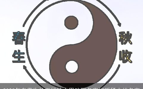 2024年白露生的五行缺土男孩取名字好听稀少的名字