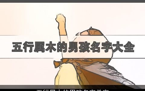 五行属木的男孩名字单字