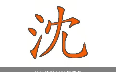 沈姓男孩2023年取名