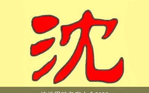 沈姓男孩名字大全2023