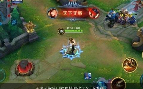 王者荣耀冷门的独特昵称大全 听着很高级 稀少独特的王者荣耀昵称名字大全