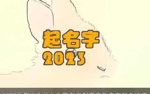 2024牛年出生的女生取名吉利用字兔宝宝起名技巧