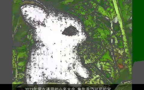 2024年男女通用的小名大全 兔年乖巧可爱的宝宝乳名推荐 吉利可爱的男女小名虎宝宝乳名名精选