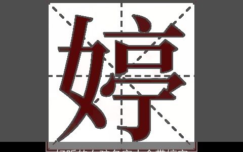 好听的女孩名字大全带婷字