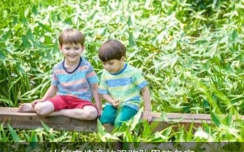 比较有诗意的双胞胎男孩名字