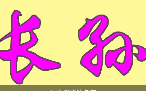 孙姓双胞胎名字