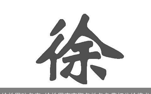 徐姓男孩名字_徐姓男宝宝取名姓名免费打分徐德龙