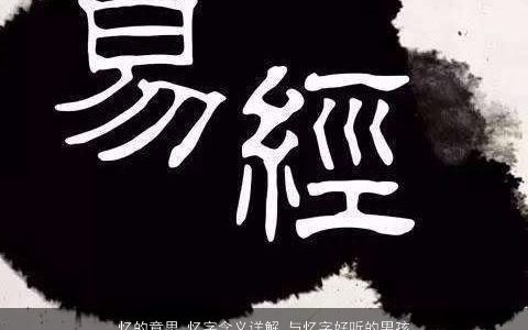 忆的意思 忆字含义详解 与忆字好听的男孩名字大全 2023稀少好听的男孩名字大全