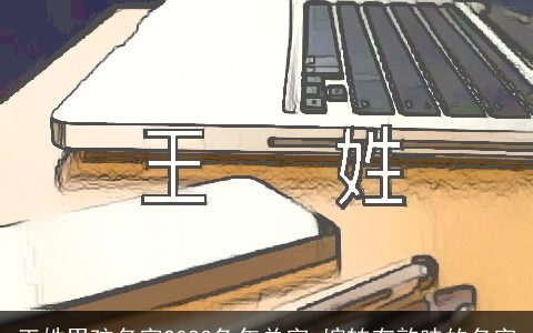 王姓男孩名字2024兔年单字 婉转有韵味的名字