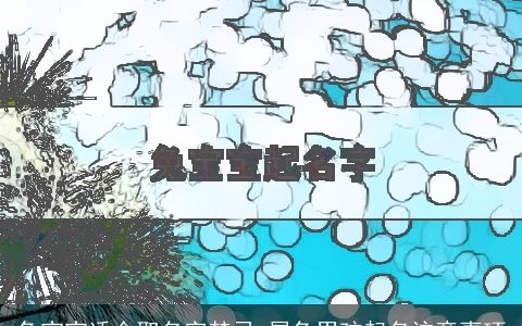 兔宝宝适合取名字禁忌 属兔男孩起名注意事项