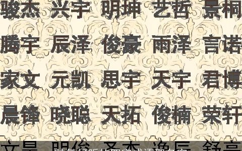 帅气好听的四字成语取名字