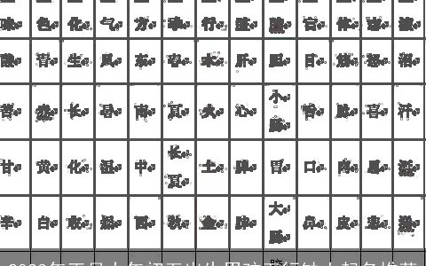 2024年正月大年初五出生男孩五行缺土起名推荐