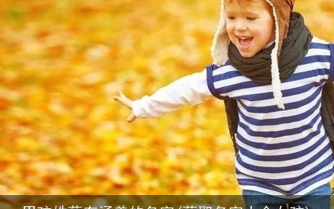 男孩姓蔡有涵养的名字(蔡取名字大全女孩)